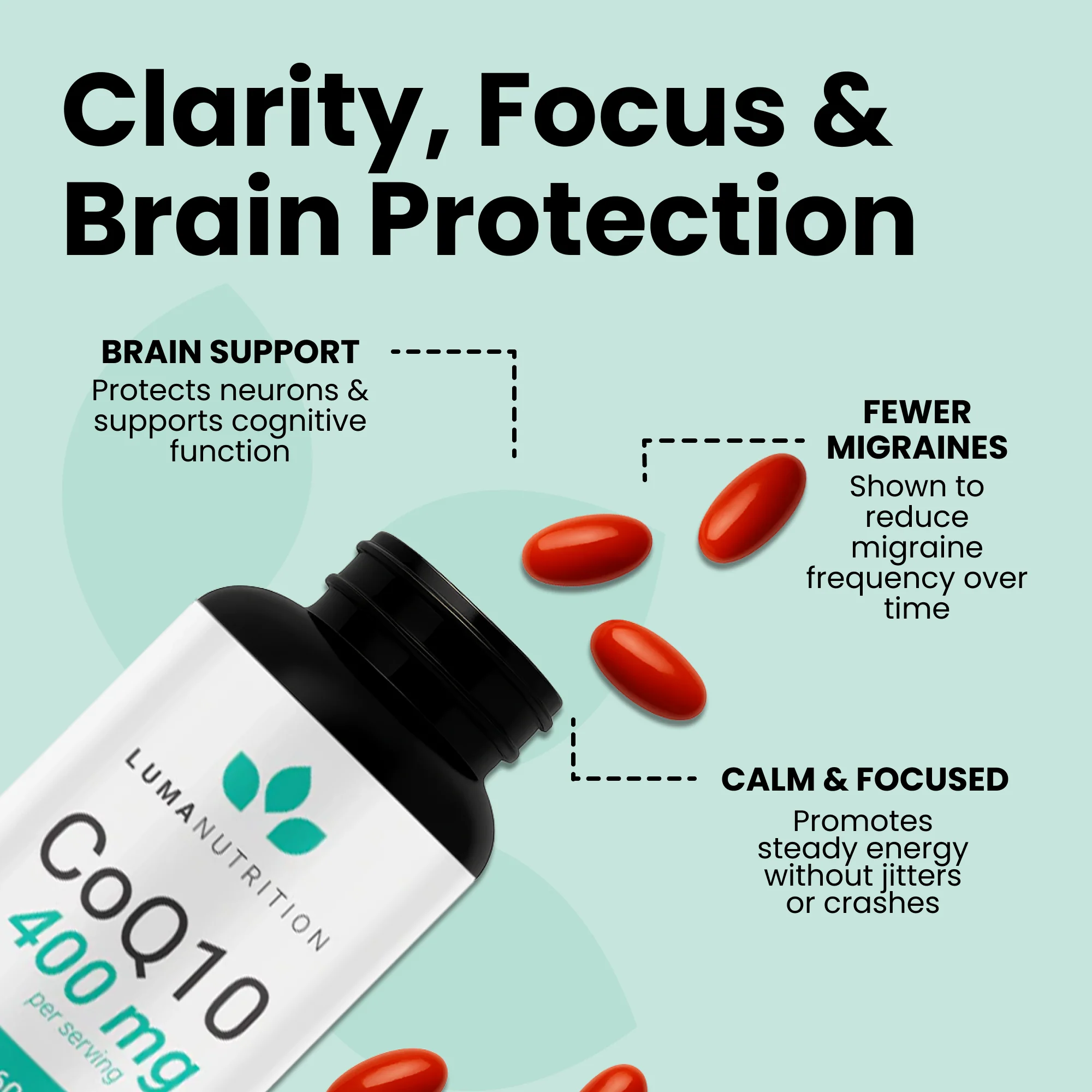 Coq10 - Image 6
