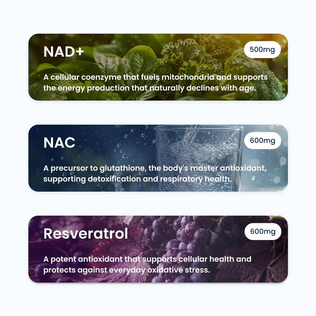 Longevity Protocol - Image 4