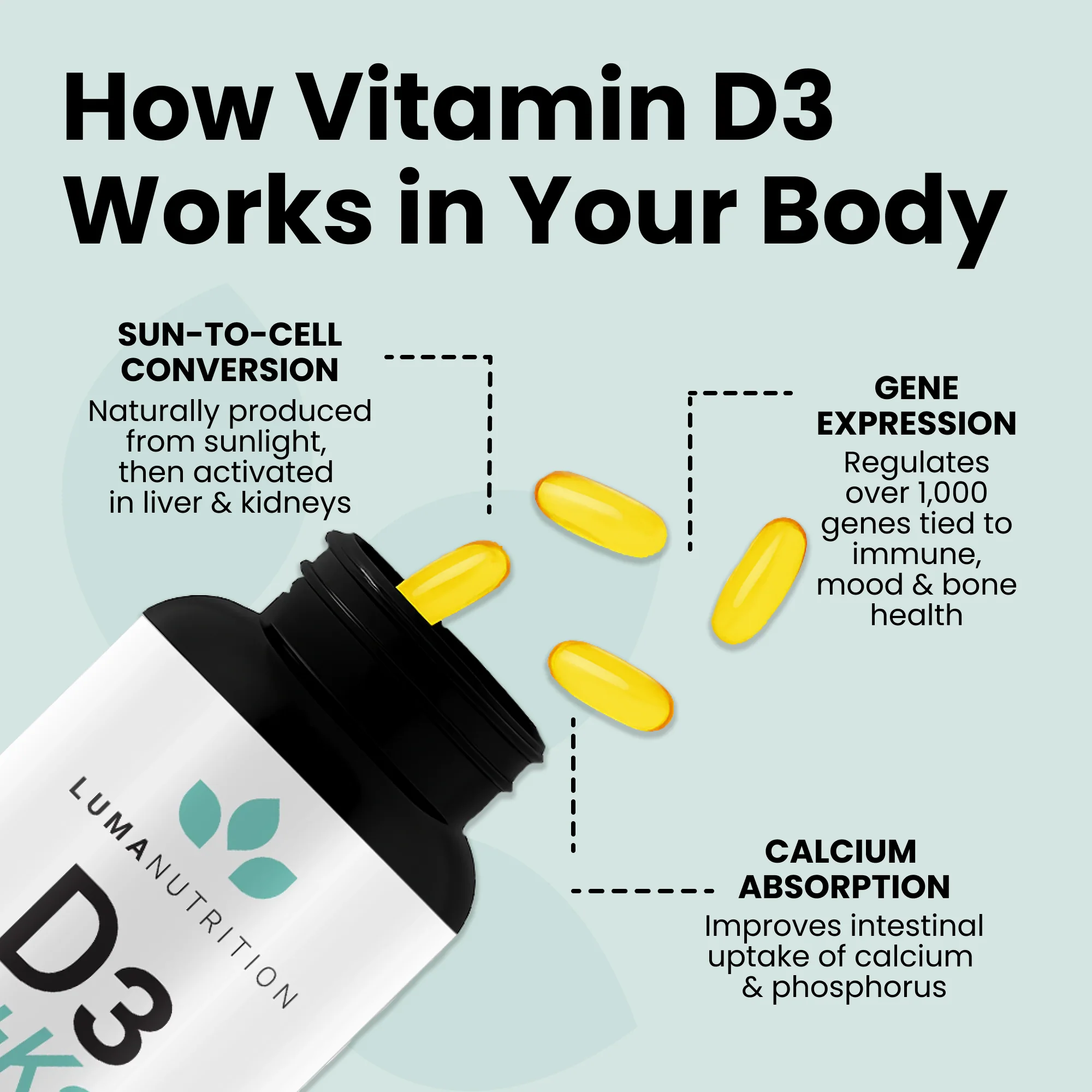 Vitamin D3 + K2 - Image 4